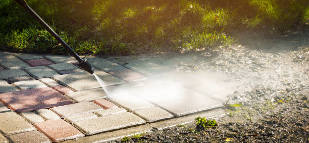 Best Gutter Cleaning  in Taylorvle, IL